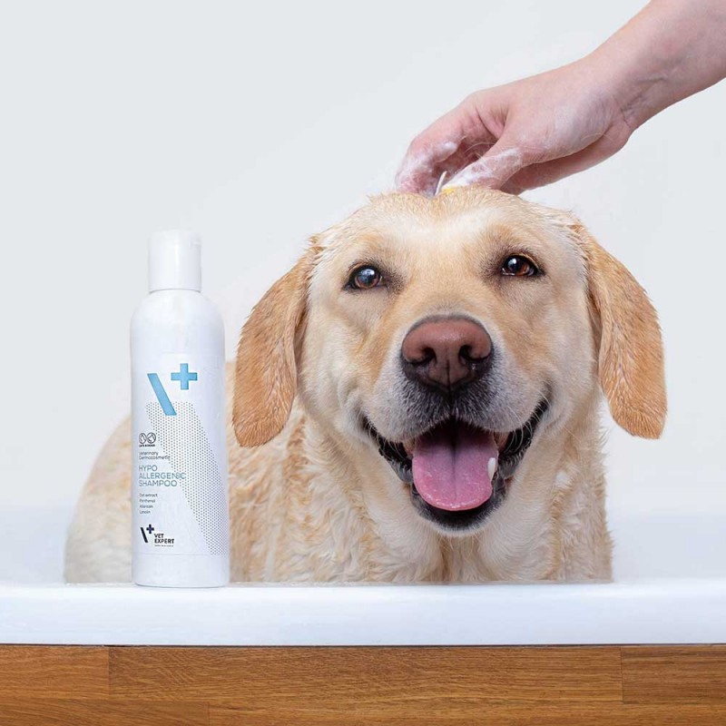 hipoalergiczny szampon dla psa szczeniaka